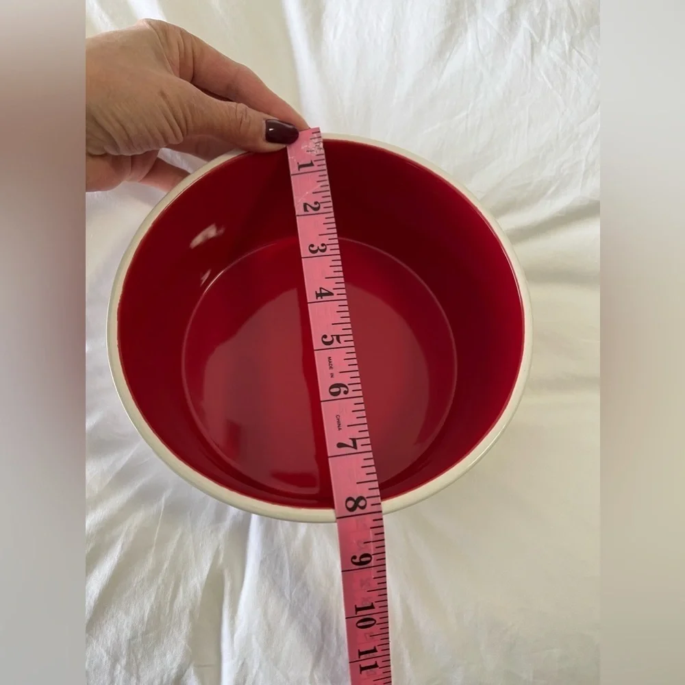 Rae Dunn | Bone Appetit | Large Dog Bowl Artisan Magenta | White Red